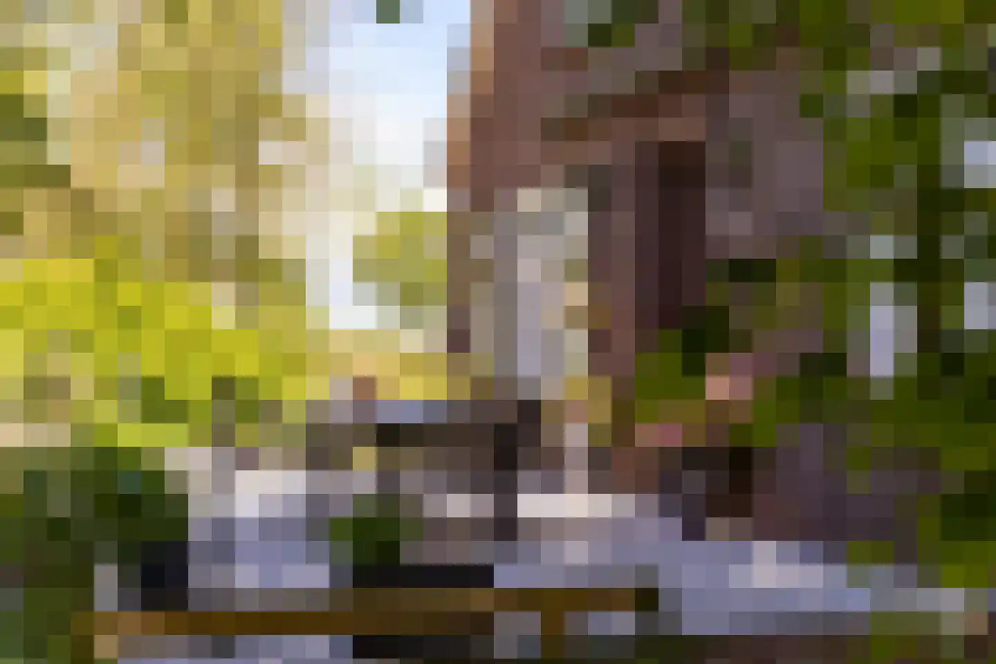 Landstraat 19 Heelweg thumbnail 37