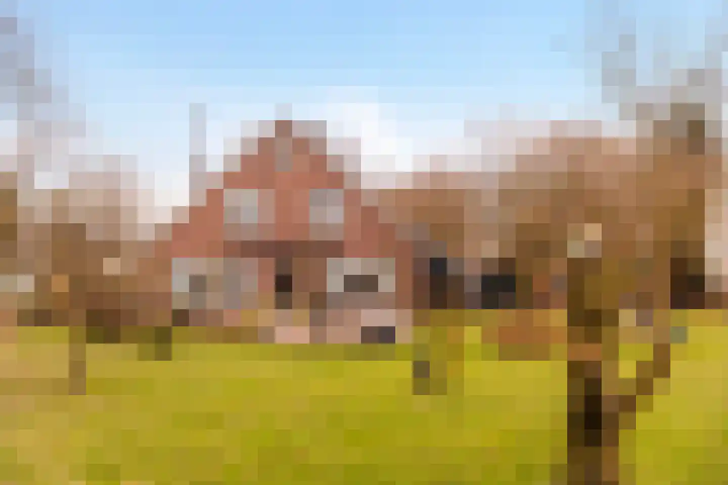 Landstraat 19 Heelweg thumbnail 38