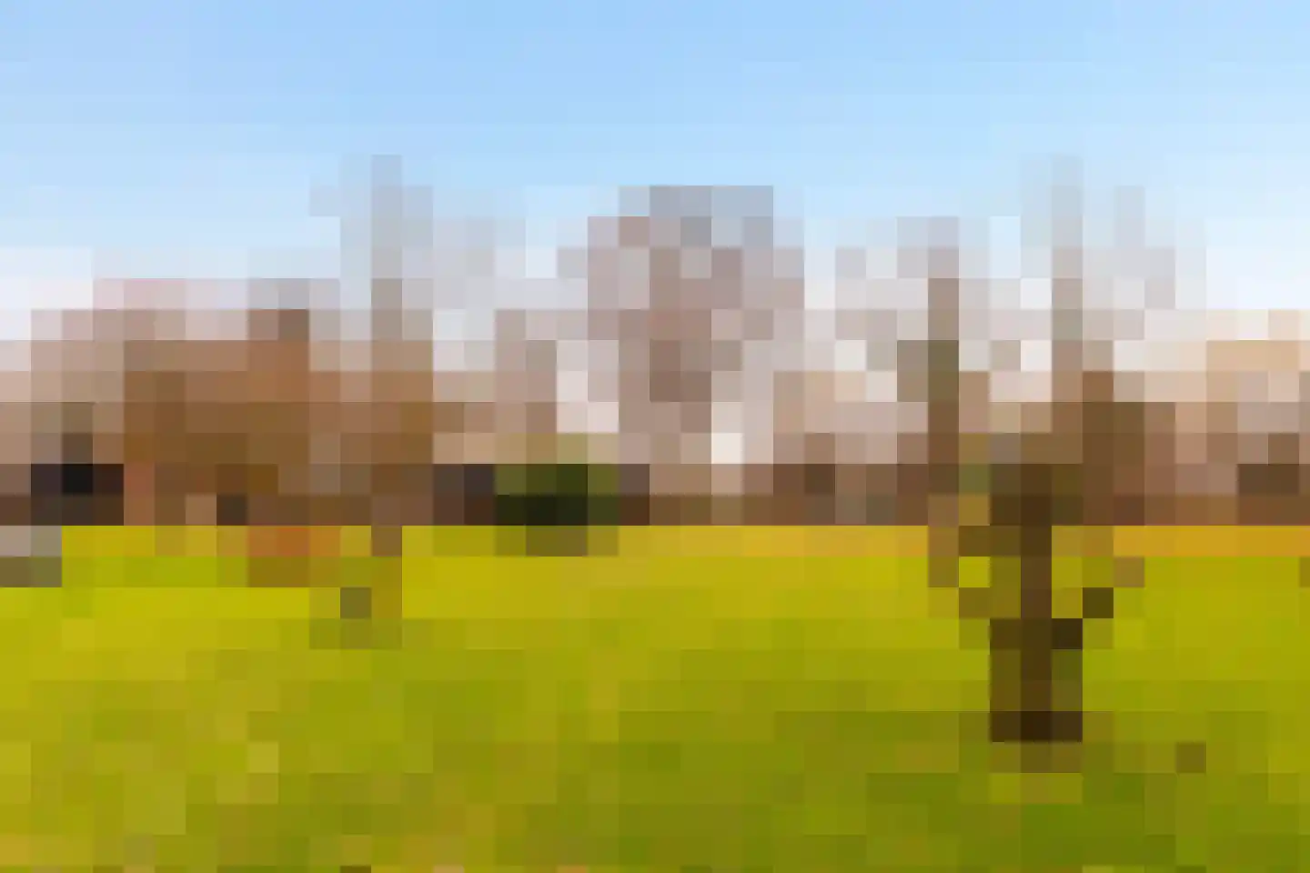 Landstraat 19 Heelweg thumbnail 44
