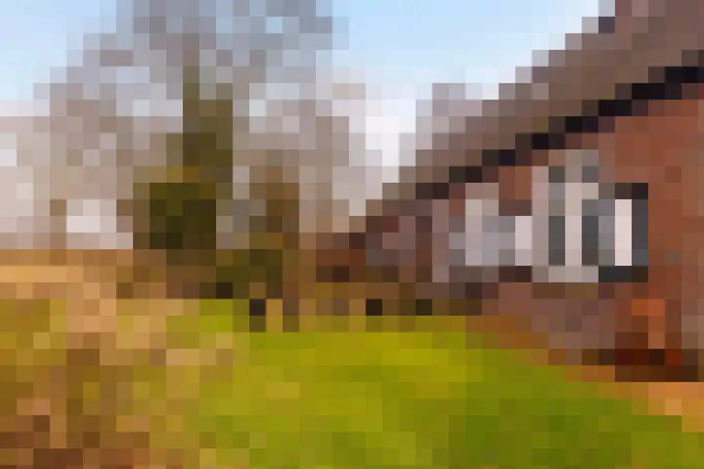 Landstraat 19 Heelweg thumbnail 45