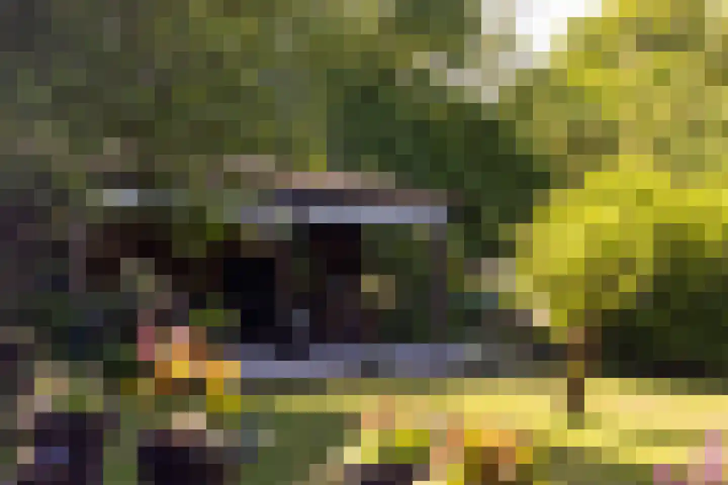 Landstraat 19 Heelweg thumbnail 46