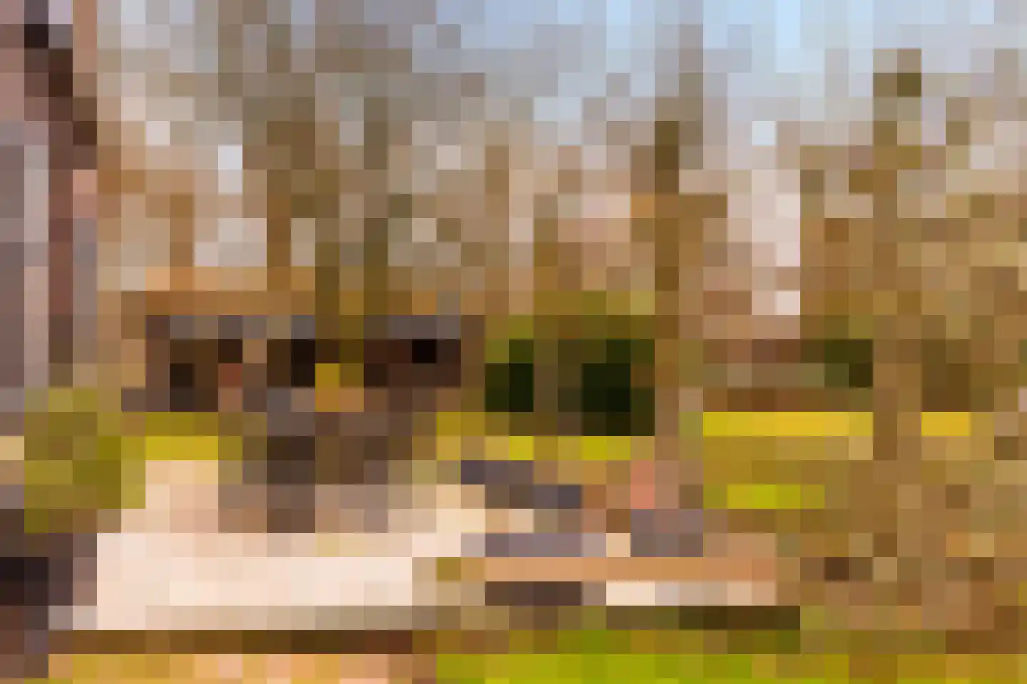 Landstraat 19 Heelweg thumbnail 46