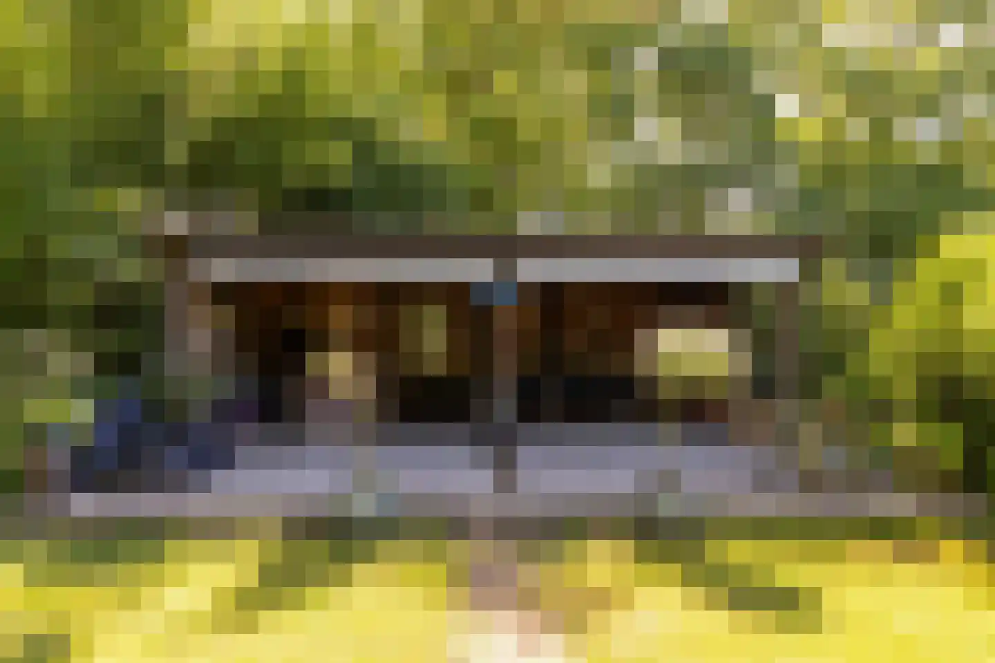 Landstraat 19 Heelweg thumbnail 47