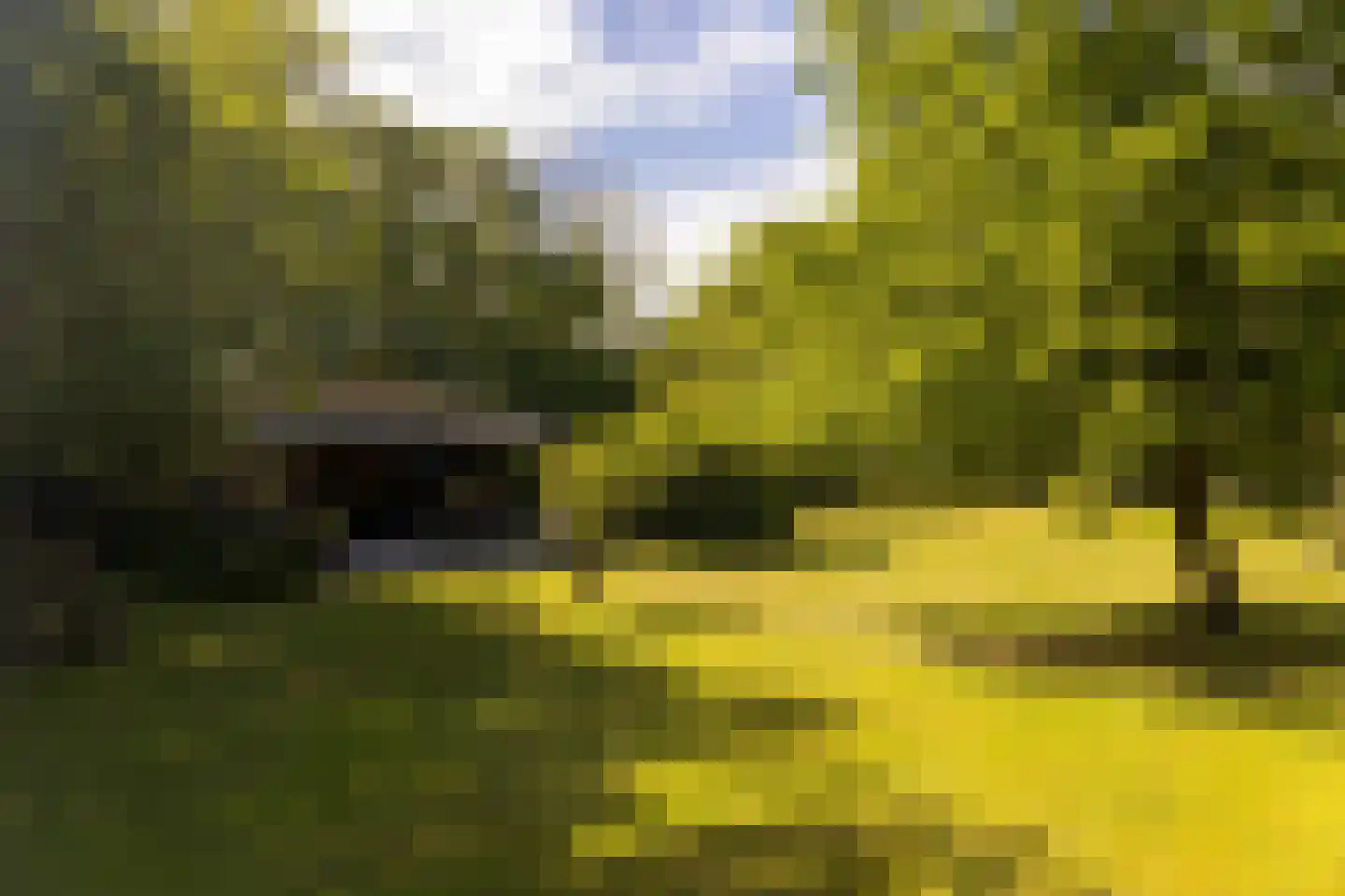Landstraat 19 Heelweg thumbnail 48