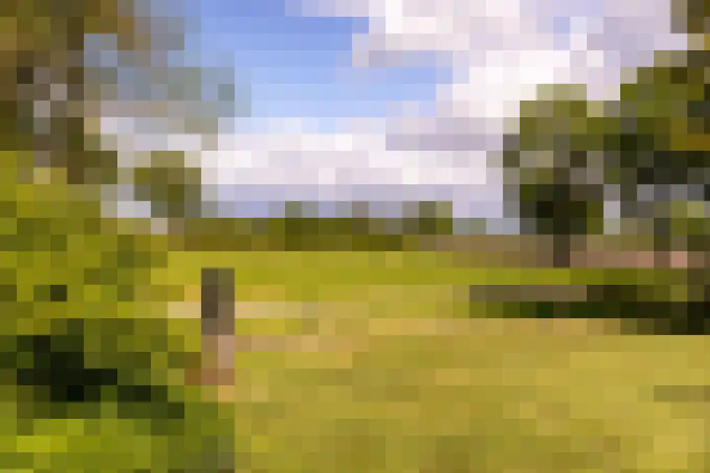 Landstraat 19 Heelweg thumbnail 54