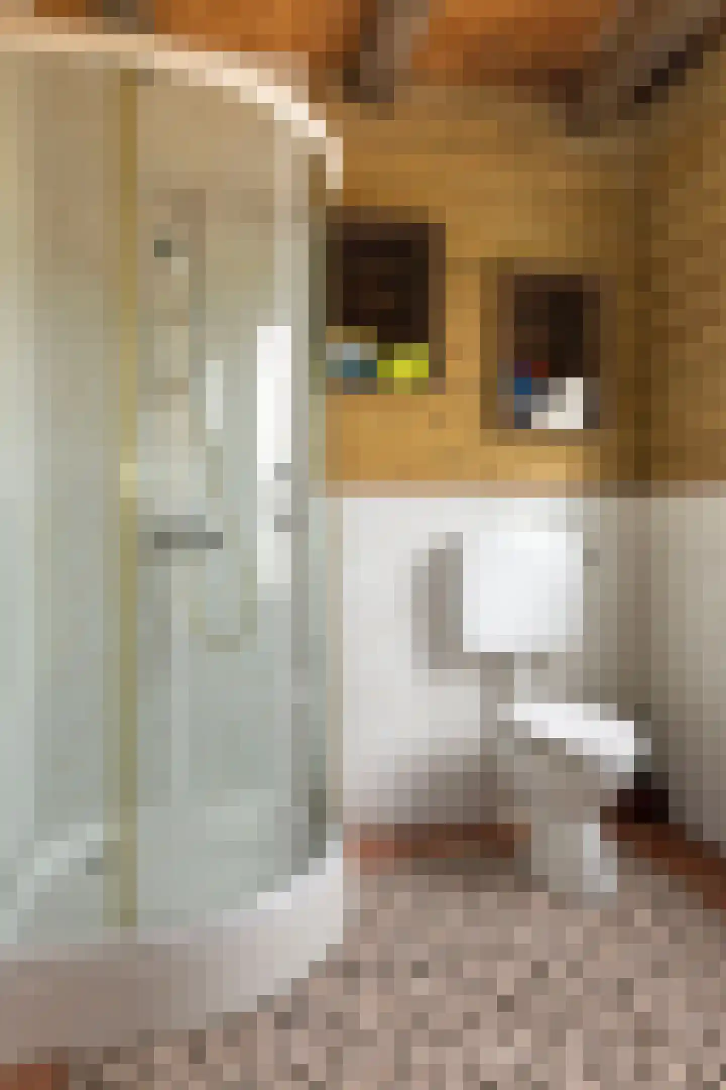 Landstraat 19 Heelweg thumbnail 54