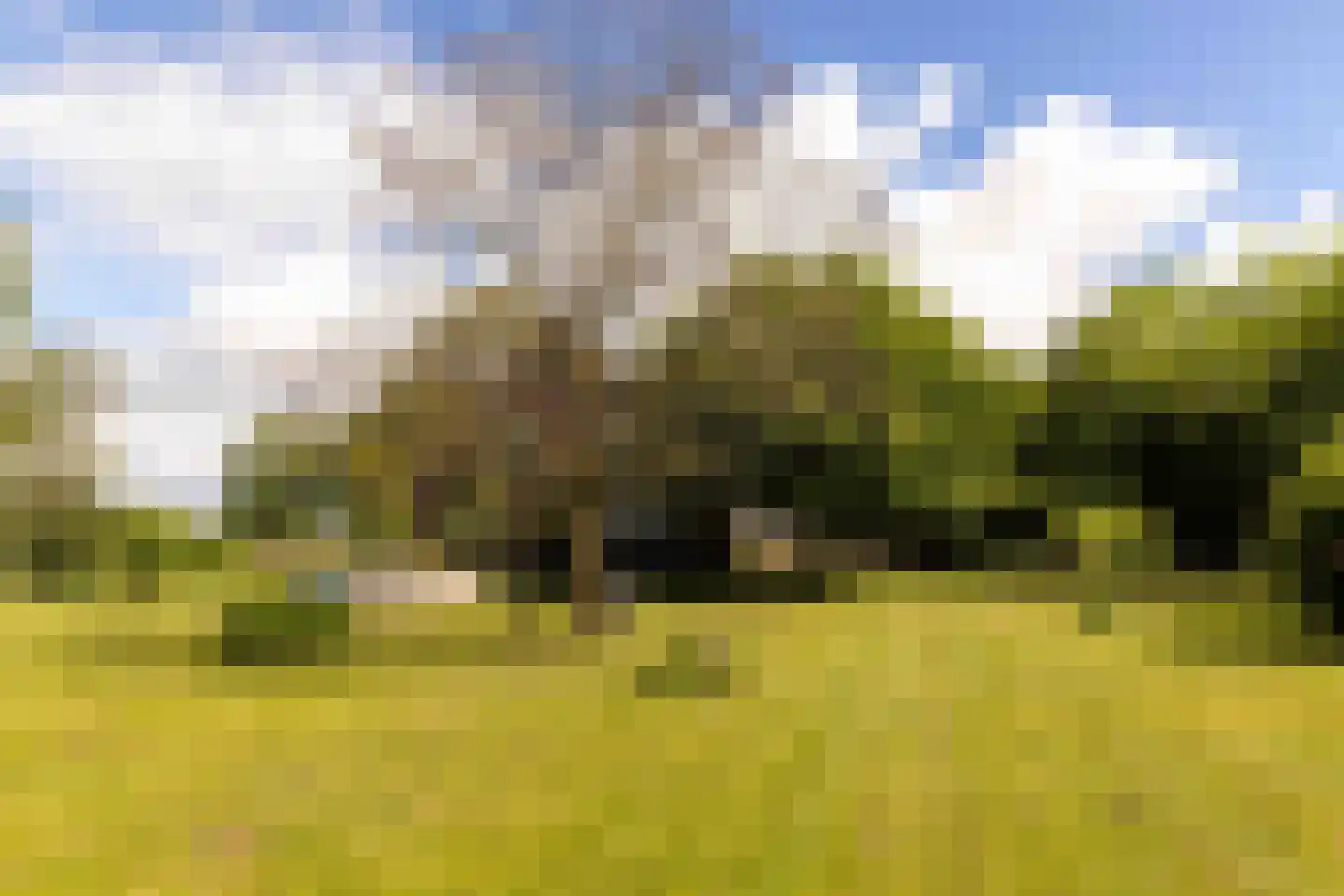 Landstraat 19 Heelweg thumbnail 55