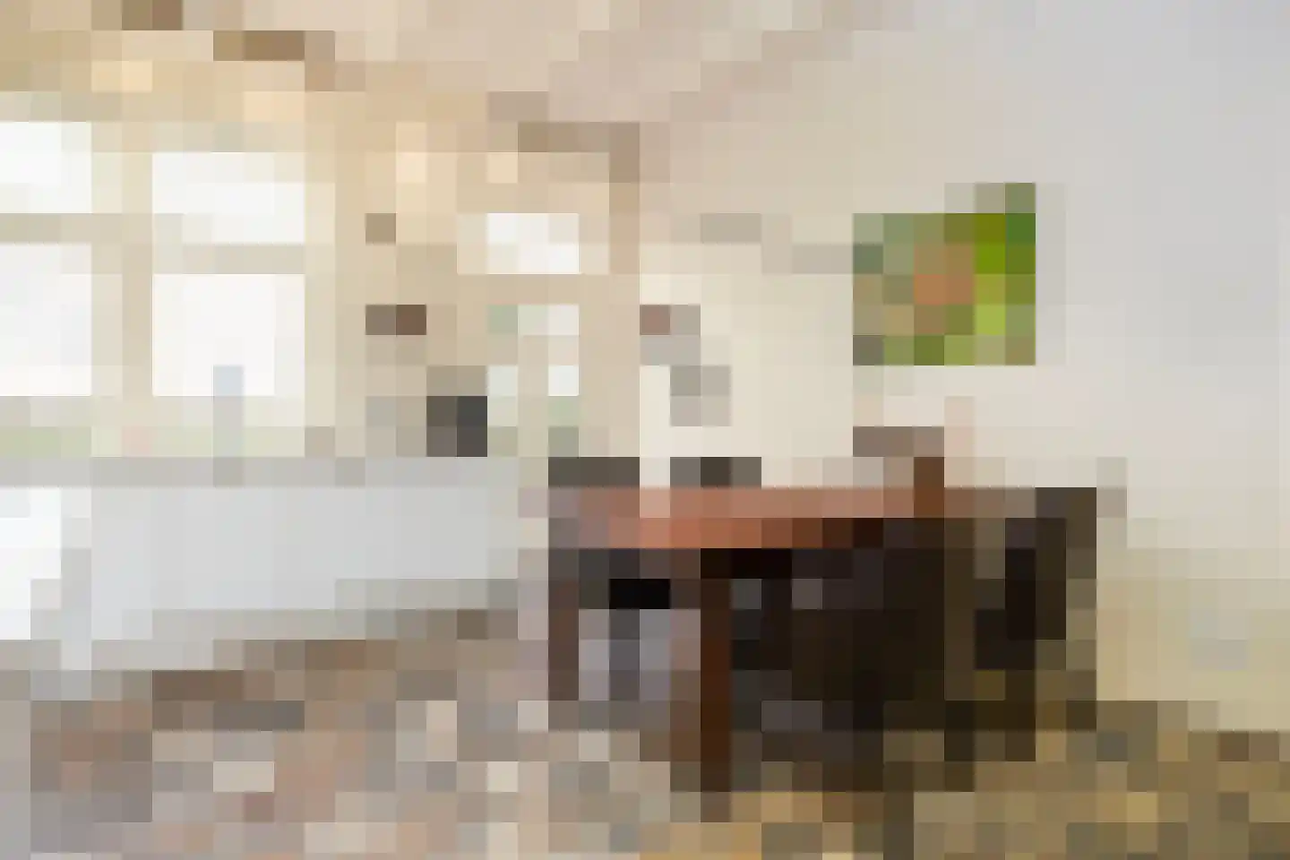 Landstraat 19 Heelweg thumbnail 8