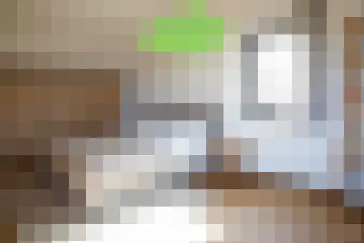 Landstraat 2 Aardenburg thumbnail 29