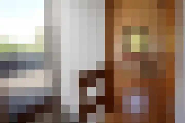 Landstraat 2 Aardenburg thumbnail 34