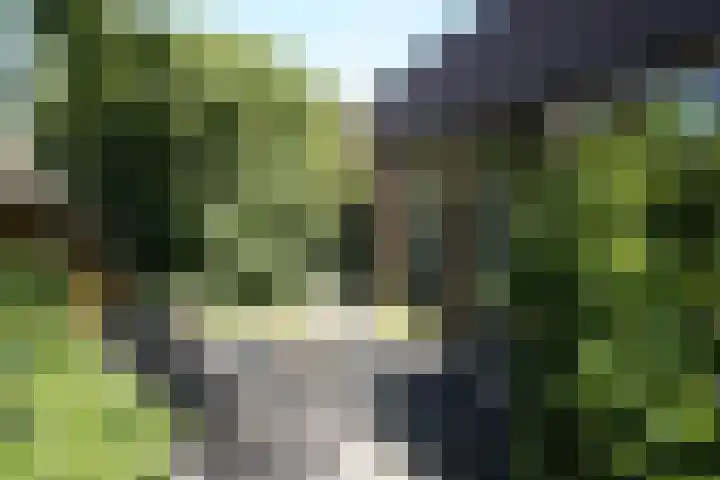 Landstraat 2 Aardenburg thumbnail 54
