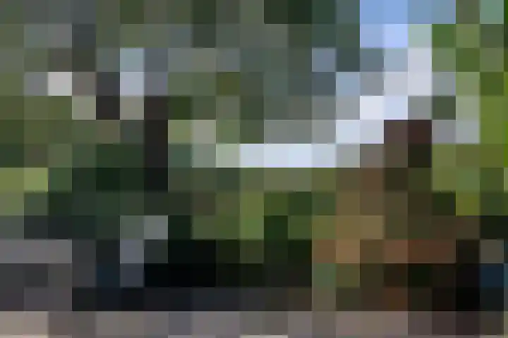 Landstraat 2 Aardenburg thumbnail 55