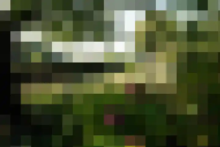 Landstraat 2 Aardenburg thumbnail 56