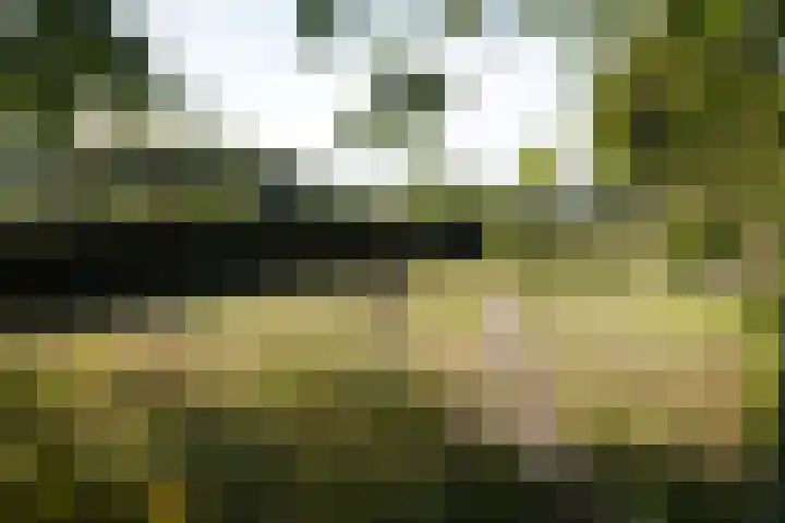 Landstraat 2 Aardenburg thumbnail 57