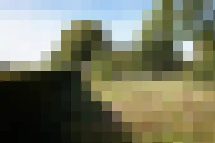 Landstraat 2 Aardenburg thumbnail 59