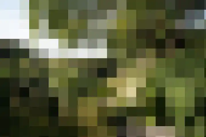 Landstraat 2 Aardenburg thumbnail 60
