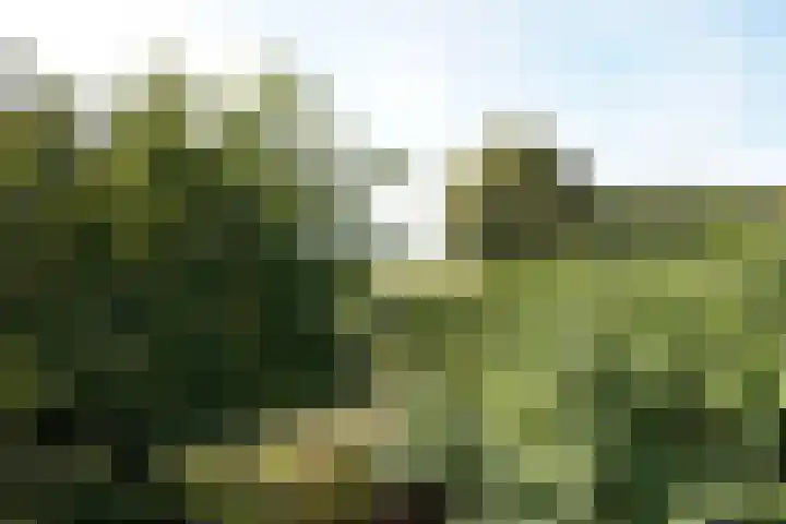 Landstraat 2 Aardenburg thumbnail 61