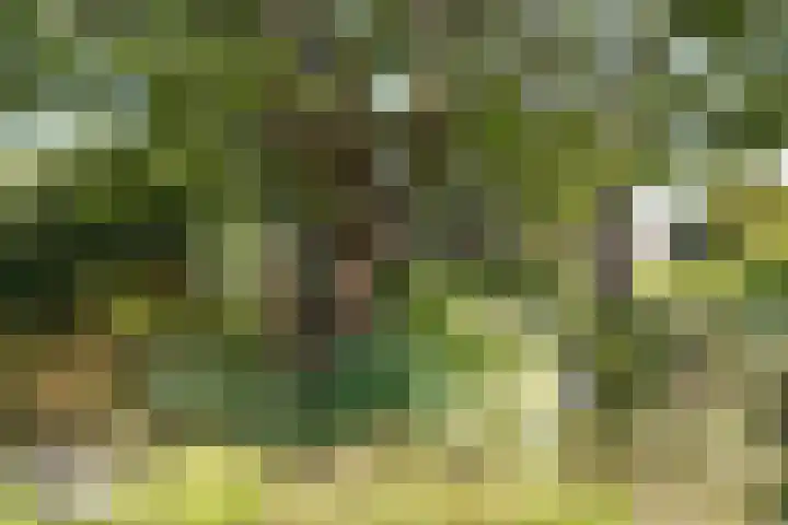 Landstraat 2 Aardenburg thumbnail 62