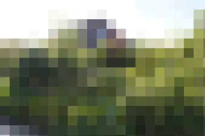 Landstraat 2 Aardenburg thumbnail 63