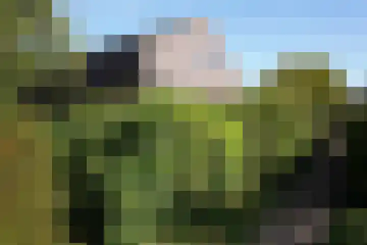 Landstraat 2 Aardenburg thumbnail 64