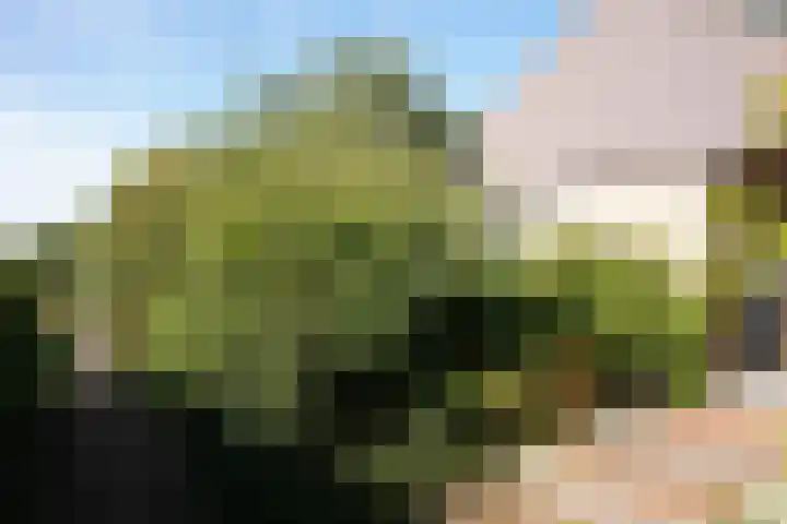 Landstraat 2 Aardenburg thumbnail 66