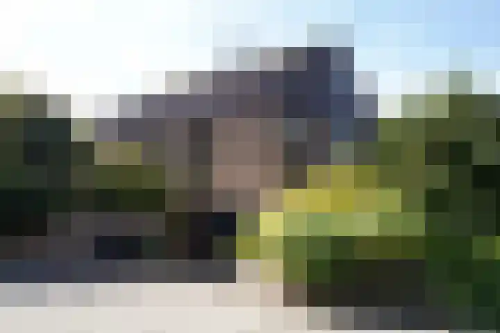 Landstraat 2 Aardenburg thumbnail 68