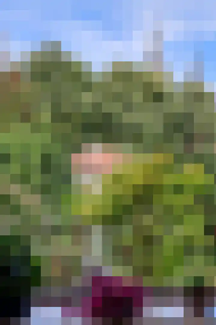 Landstraat 2 Aardenburg thumbnail 7