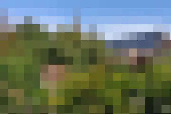 Landstraat 2 Aardenburg thumbnail 71