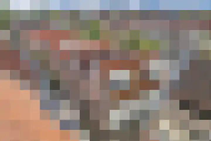 Landstraat 20 Alkmaar thumbnail 10