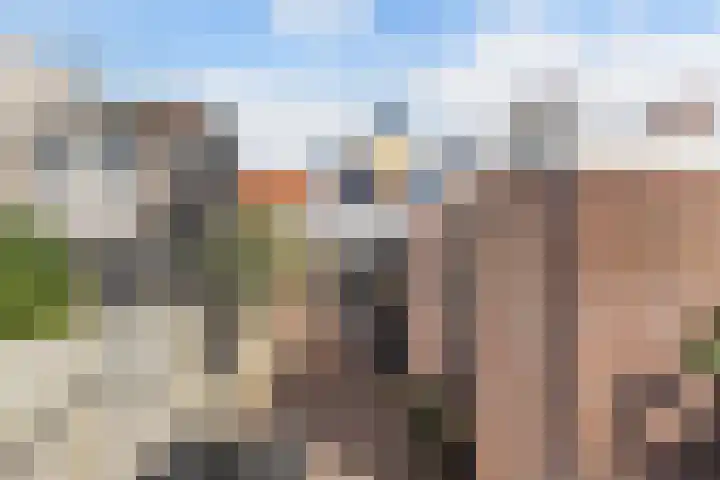 Landstraat 20 Alkmaar thumbnail 32
