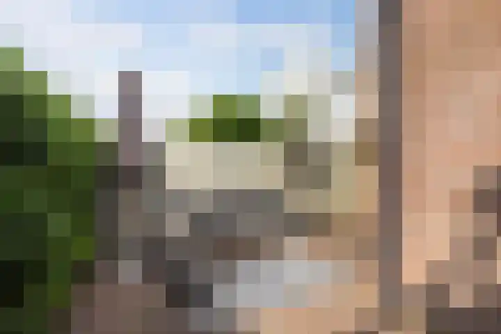 Landstraat 20 Alkmaar thumbnail 34