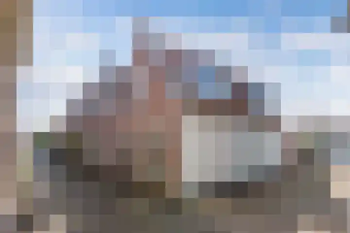 Landstraat 20 Alkmaar thumbnail 5