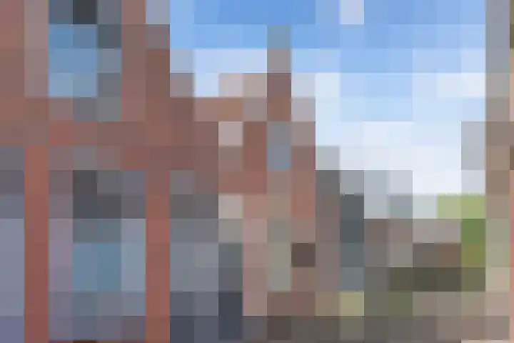 Landstraat 20 Alkmaar thumbnail 59
