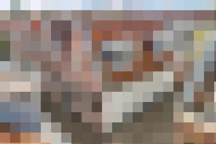Landstraat 20 Alkmaar thumbnail 9