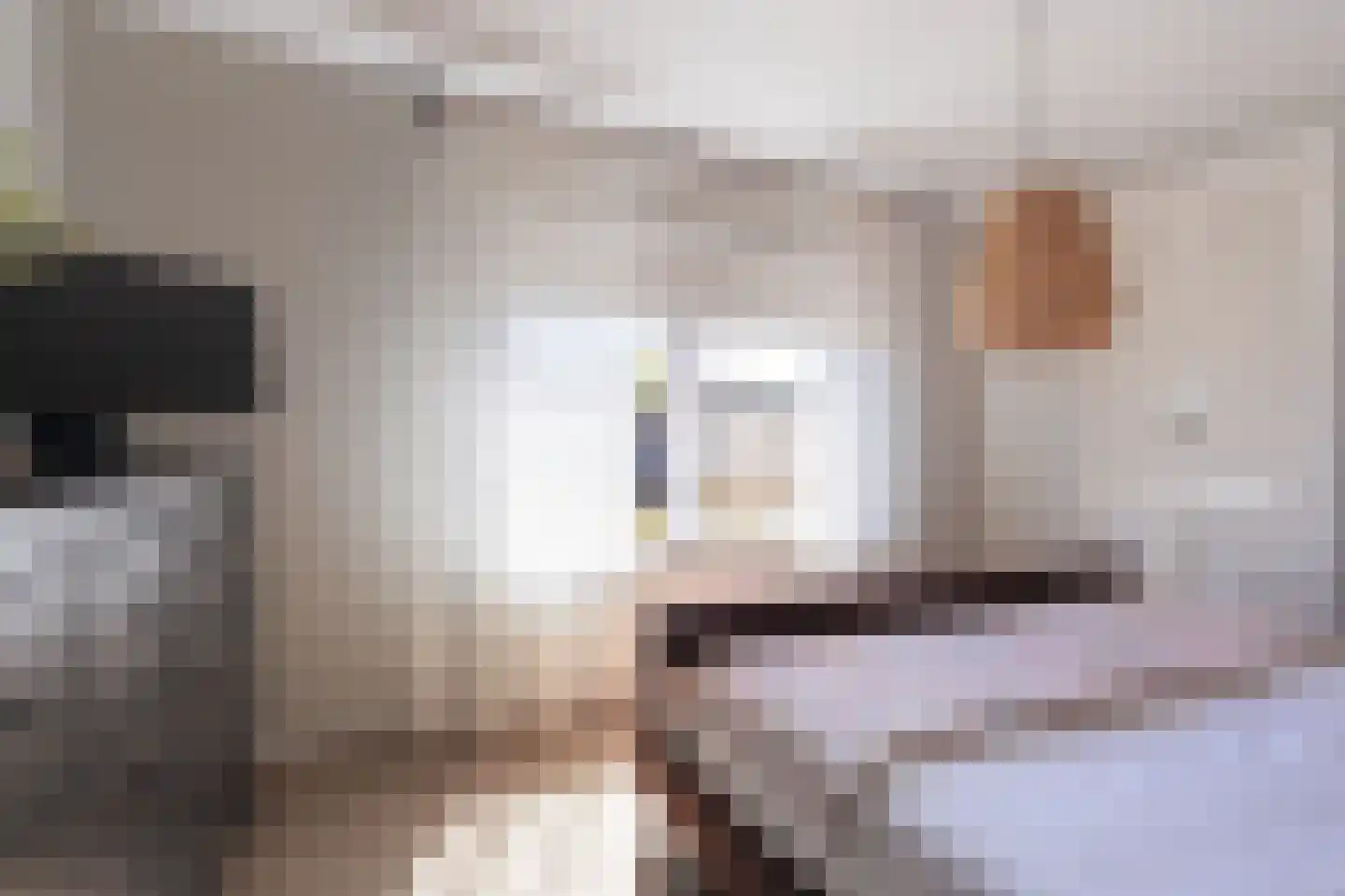 Landstraat 20 Andijk thumbnail 38