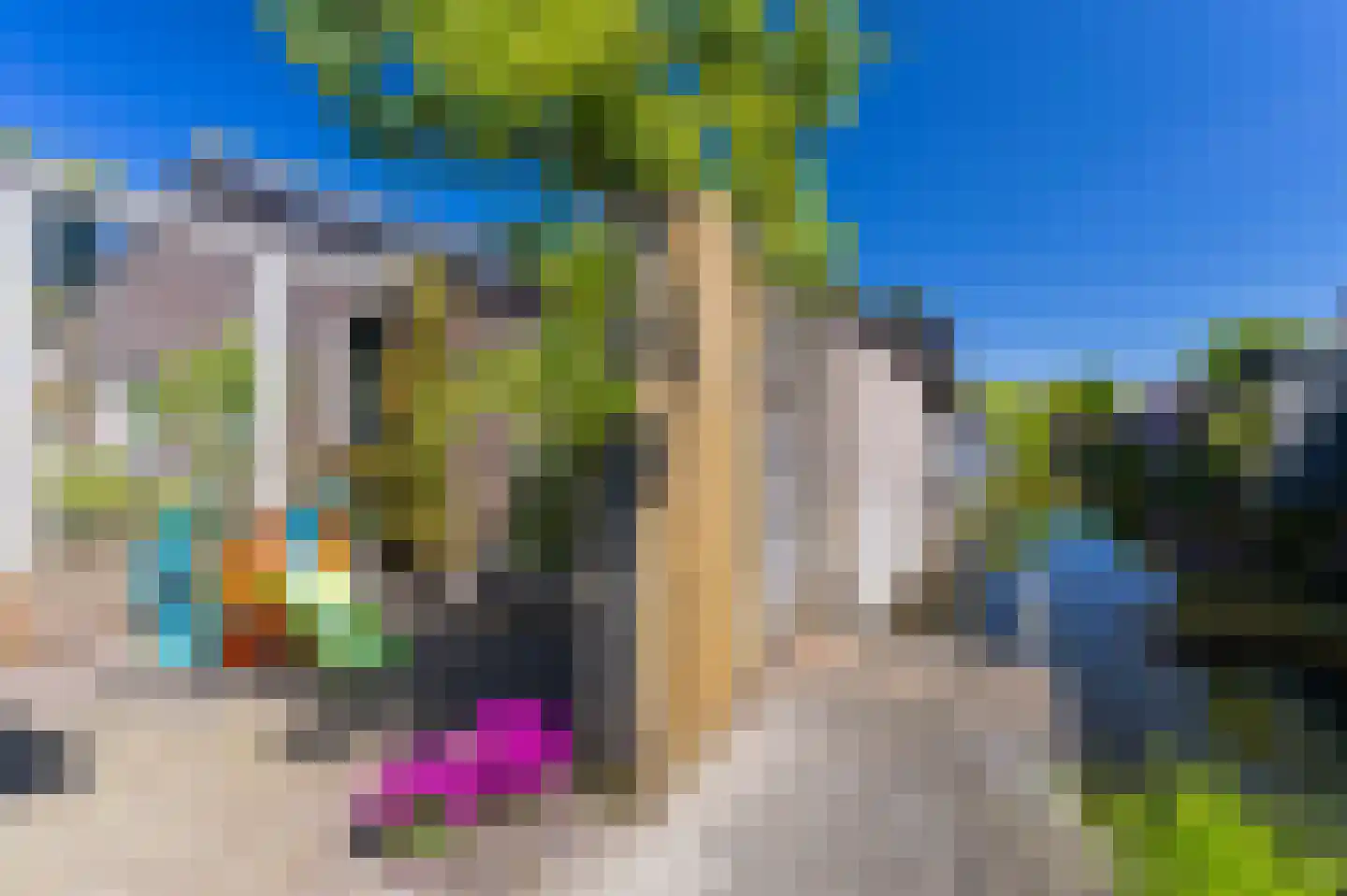 Landstraat 20 Andijk thumbnail 55