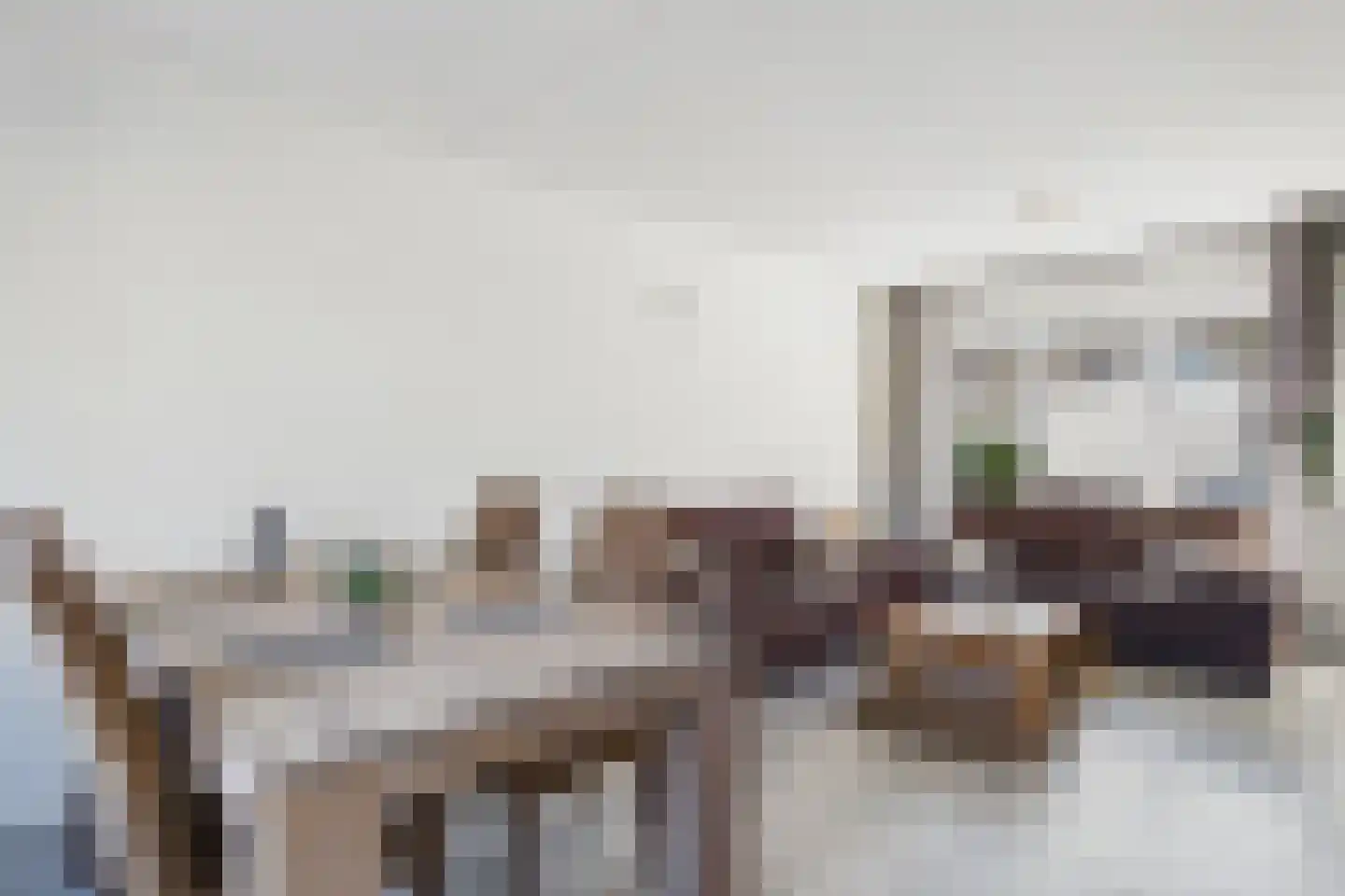 Landstraat 21 Sluiskil thumbnail 12