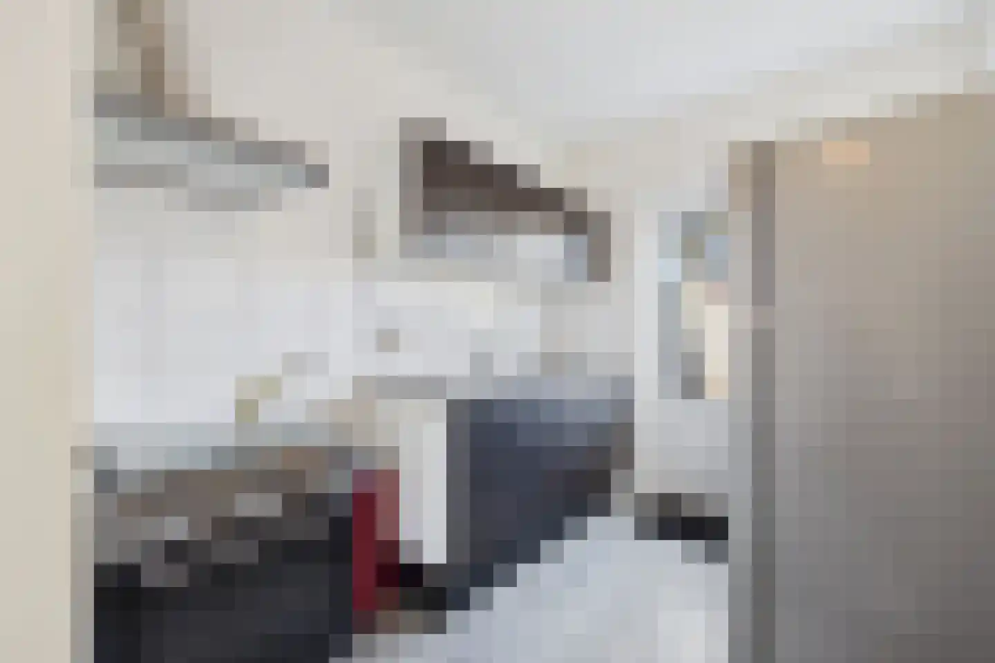 Landstraat 21 Sluiskil thumbnail 14