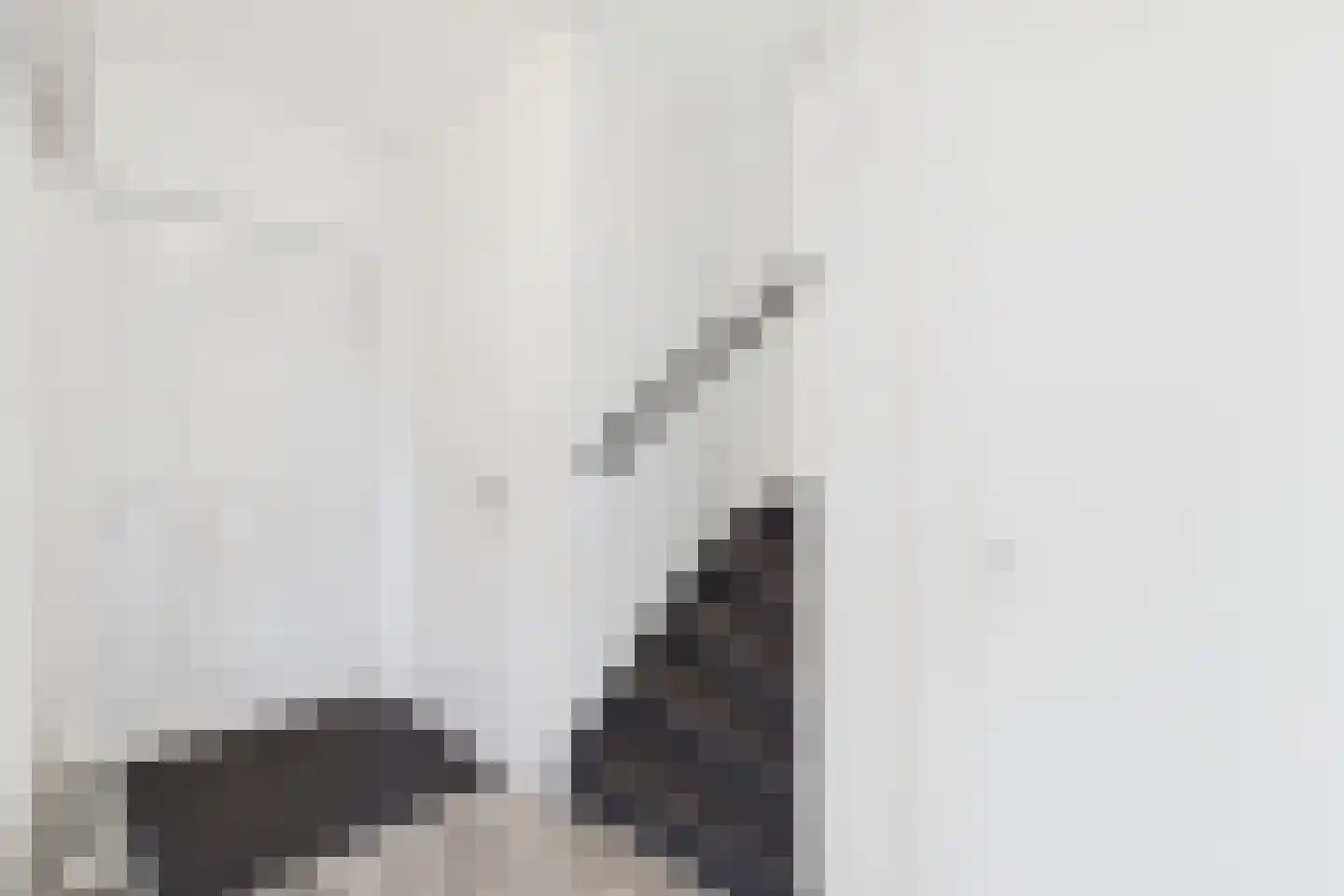 Landstraat 21 Sluiskil thumbnail 8