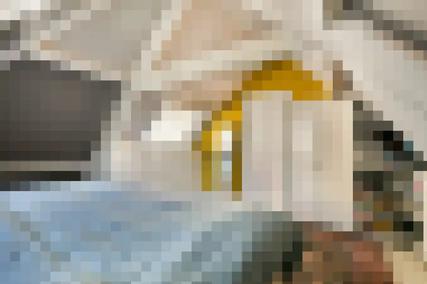 Landstraat 21 Vlaardingen thumbnail 33