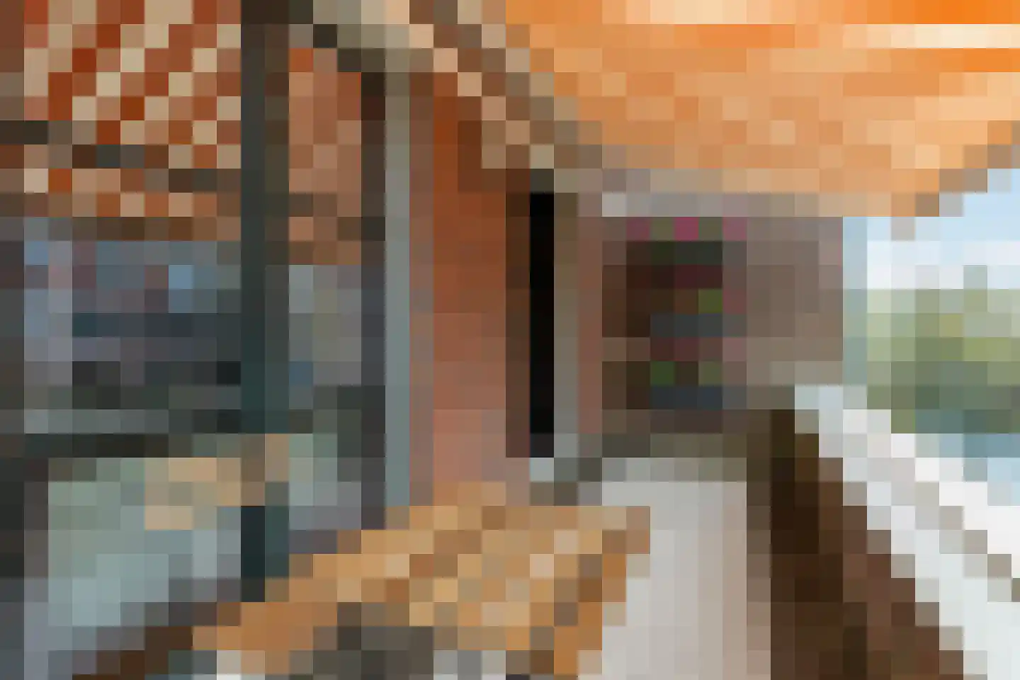 Landstraat 211 Bussum thumbnail 20
