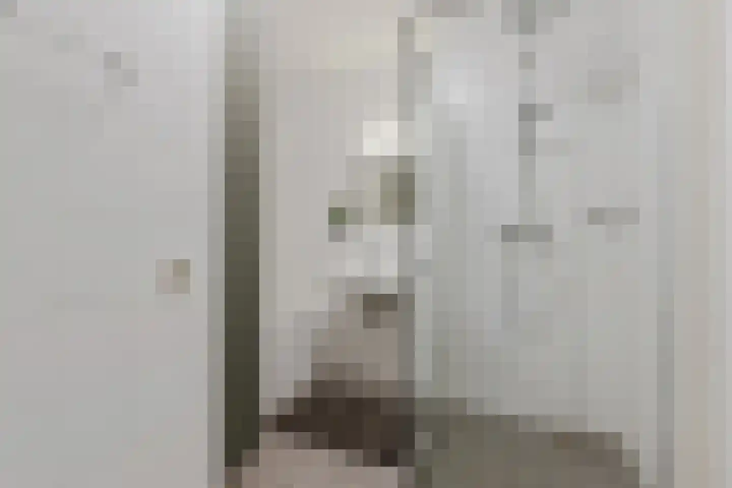 Landstraat 211 Bussum thumbnail 33