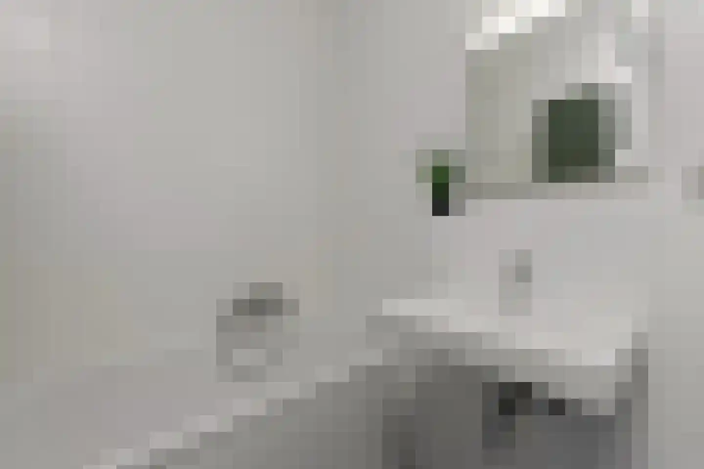 Landstraat 211 Bussum thumbnail 33