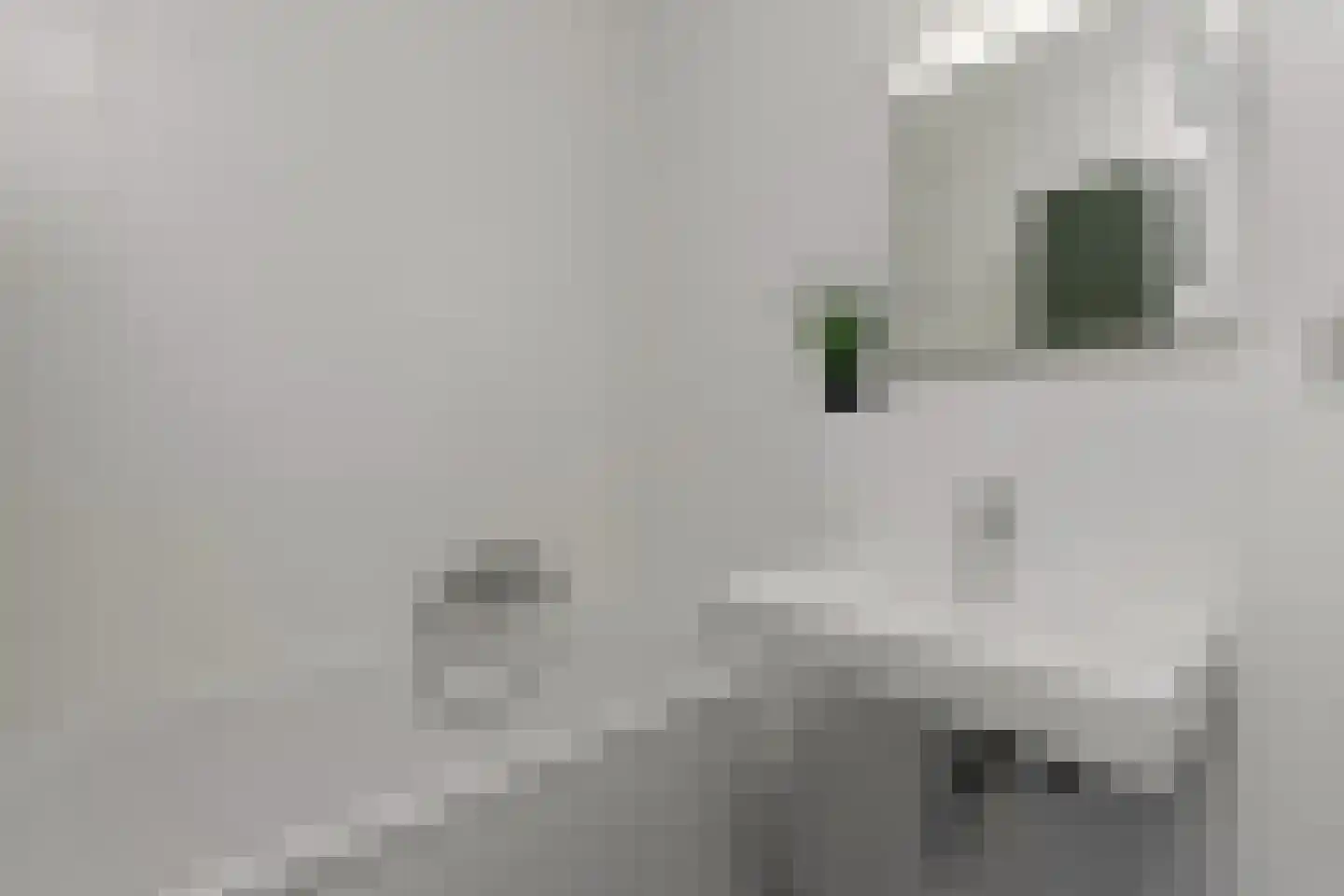 Landstraat 211 Bussum thumbnail 34
