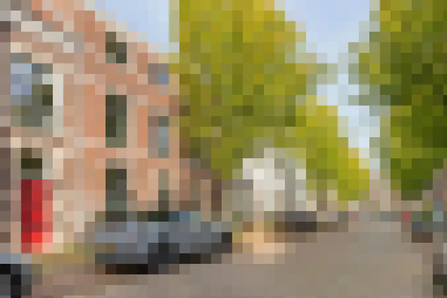 Landstraat 211 Bussum thumbnail 37
