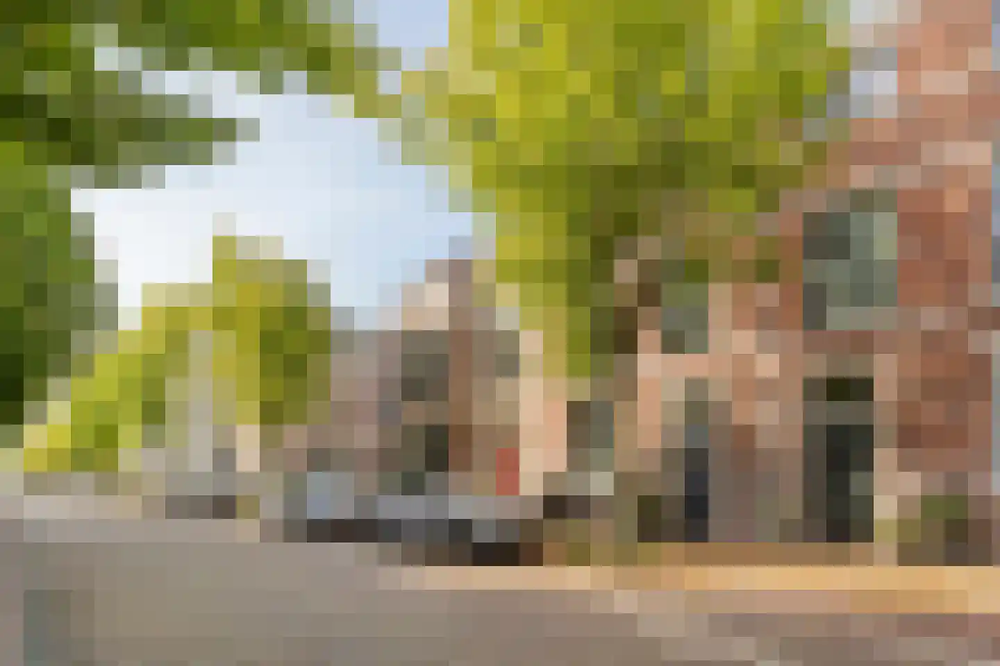 Landstraat 211 Bussum thumbnail 4