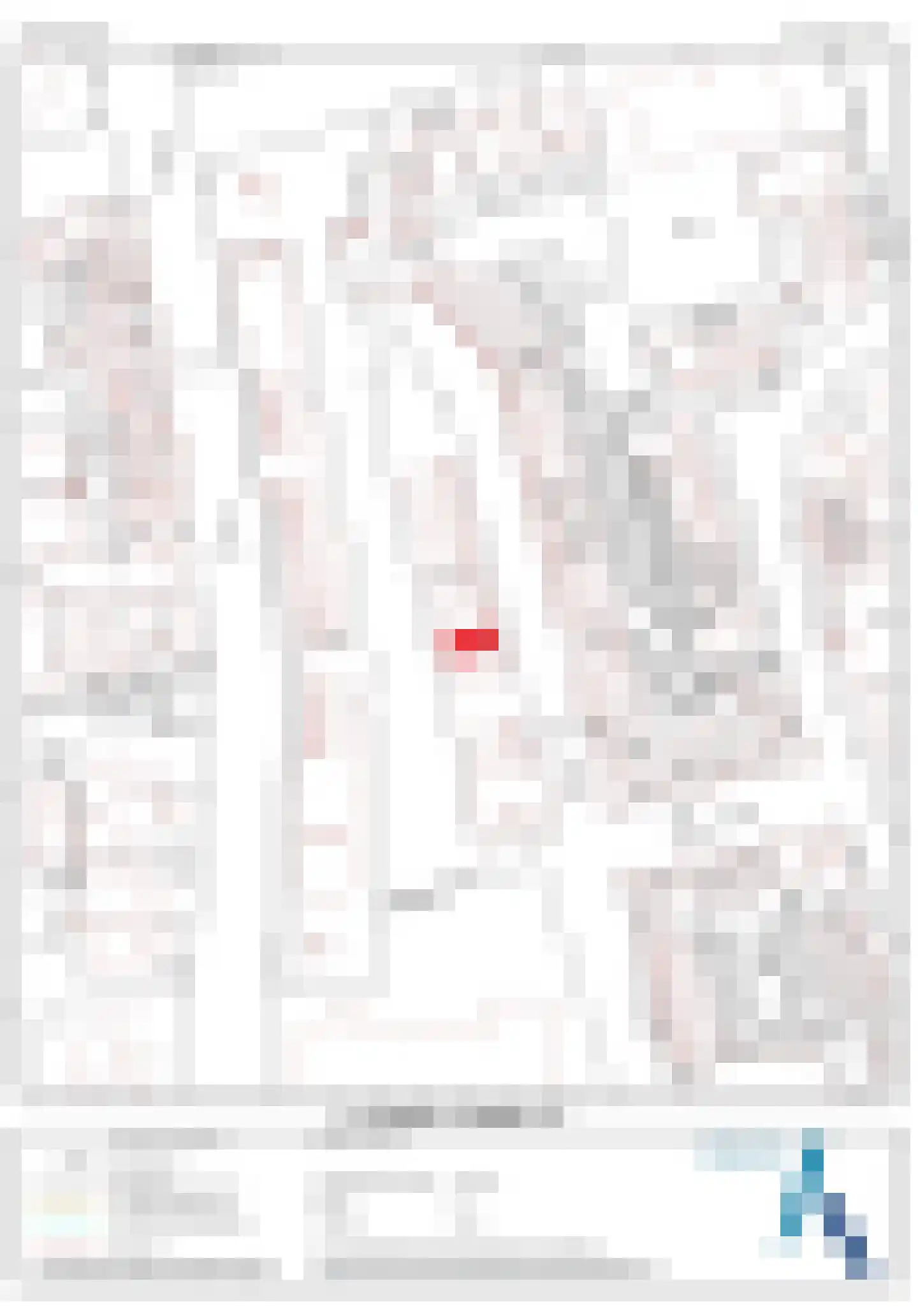 Landstraat 211 Bussum thumbnail 47