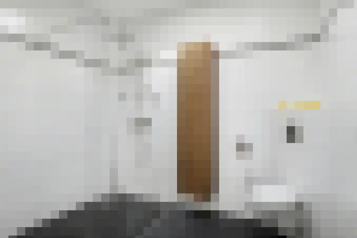 Landstraat 213 Bussum thumbnail 25
