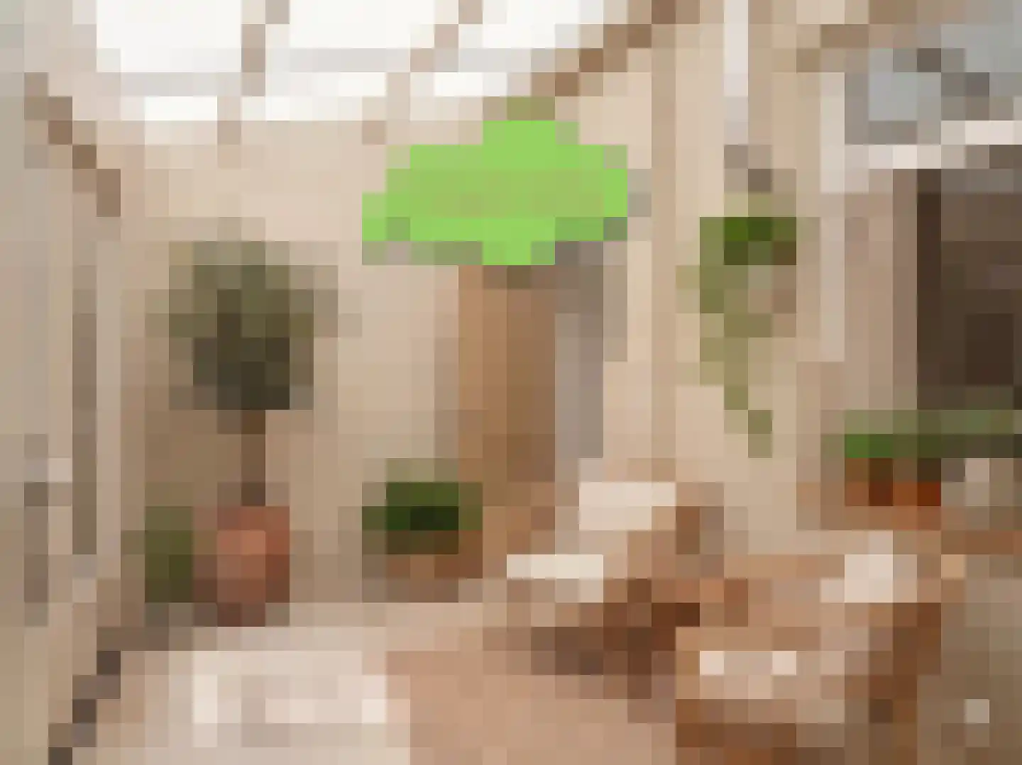 Landstraat 24 Aardenburg thumbnail 11
