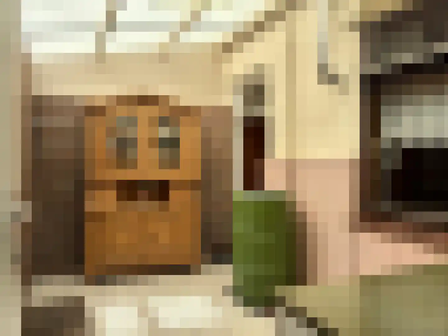 Landstraat 24 Aardenburg thumbnail 12
